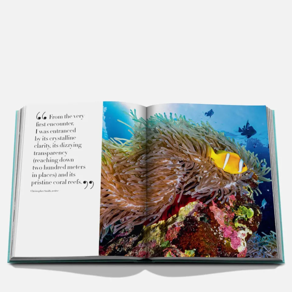 Decorative Accessories|Dr. Martens Assouline Redsea The Saudi Coast