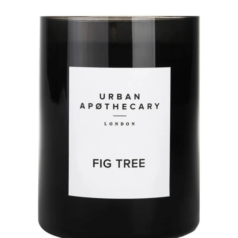 Bathroom|Home Fragrance|Dr. Martens Urban Apothecary Fig Tree Luxury Candle 300g